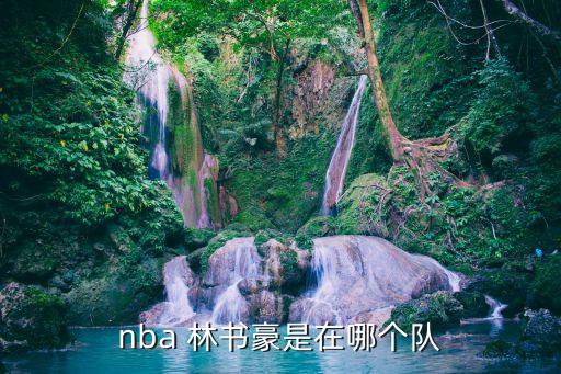 2017林書豪是哪個(gè)隊(duì)的,林書豪進(jìn)入nba史上首位哈佛學(xué)子