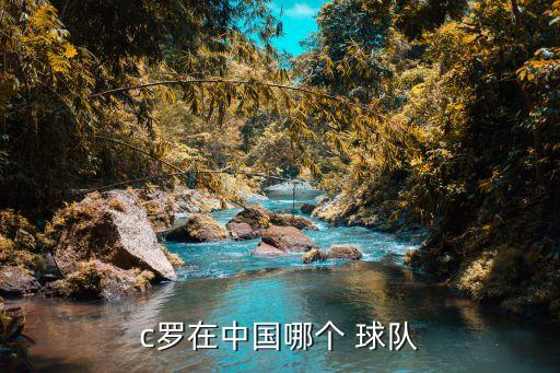 皇馬c羅去哪個(gè)球隊(duì)了,轉(zhuǎn)會(huì)皇馬俱樂(lè)部c羅是葡萄牙國(guó)家隊(duì)球員