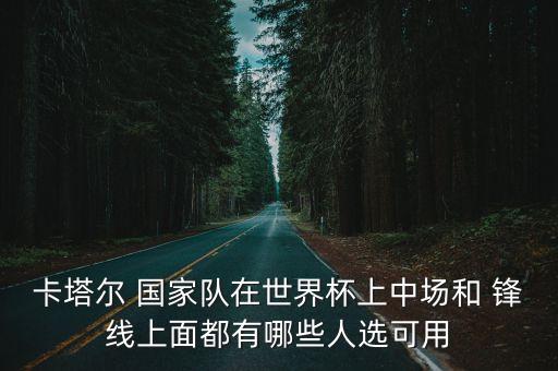 卡塔爾 國(guó)家隊(duì)在世界杯上中場(chǎng)和 鋒線上面都有哪些人選可用