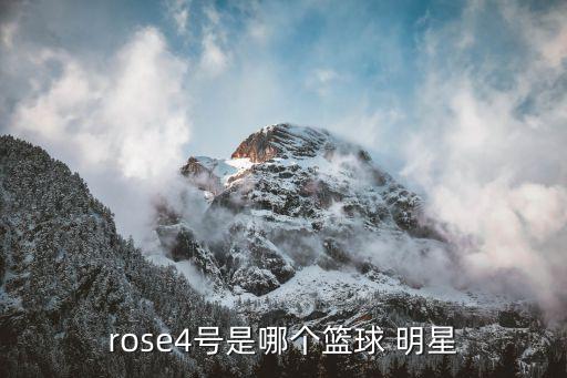 rose4號是哪個籃球 明星