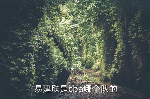  易建聯(lián)是cba哪個(gè)隊(duì)的