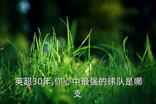 英超哪個(gè)隊(duì)強(qiáng)一些,最強(qiáng)隊(duì)伍!萊斯特城隊(duì)獲票選英超最佳球隊(duì)