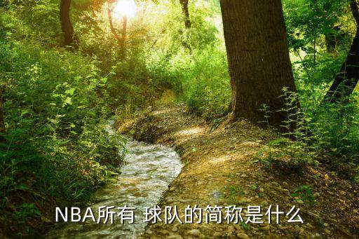 nyk是哪個nba球隊,nba球隊簡稱:亞特蘭大鷹隊