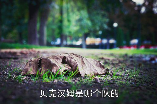 貝克漢姆現(xiàn)在在哪個(gè)隊(duì),英超球星貝克漢姆宣布退役