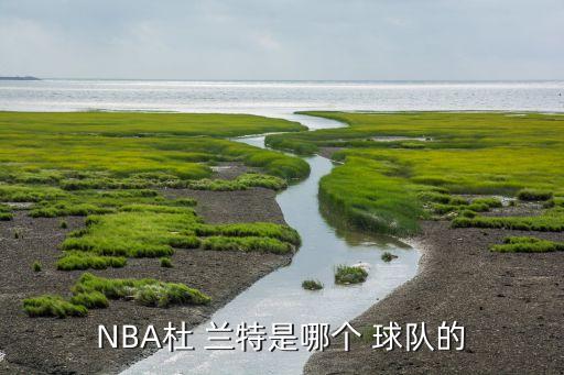 2014杜蘭特在哪個球隊,nba球星杜蘭特回顧職業(yè)生涯