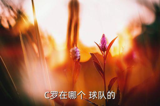 C羅在哪個 球隊(duì)的