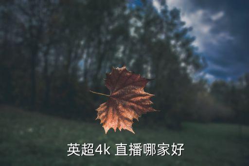  英超4k 直播哪家好