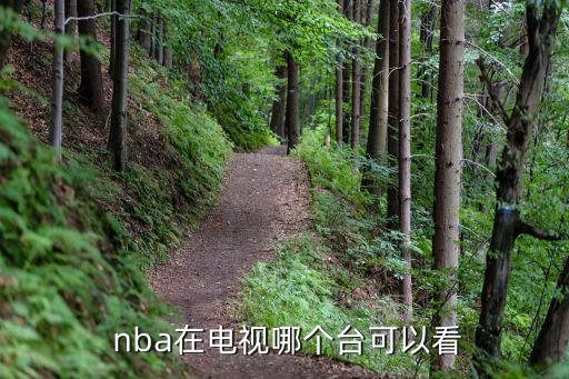  nba在電視哪個(gè)臺(tái)可以看