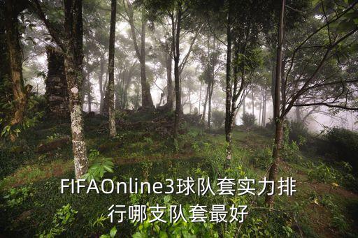 fifa拉姆哪個(gè)賽季強(qiáng),國服各位置最強(qiáng)名單出爐!