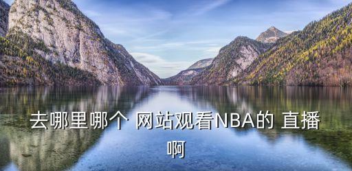 哪個(gè)網(wǎng)站nba直播嗎,nba直播教學(xué)網(wǎng)絡(luò)要求高網(wǎng)絡(luò)不然會(huì)卡