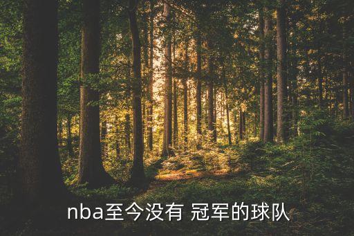  nba至今沒有 冠軍的球隊