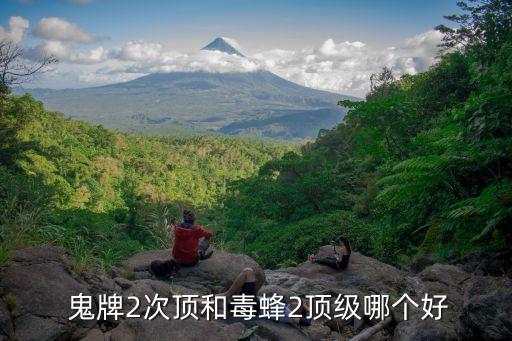  鬼牌2次頂和毒蜂2頂級哪個好