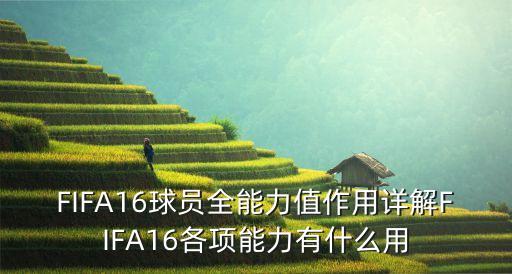 FIFA16球員全能力值作用詳解FIFA16各項(xiàng)能力有什么用