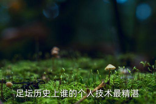 足壇歷史上誰的個(gè)人技術(shù)最精湛