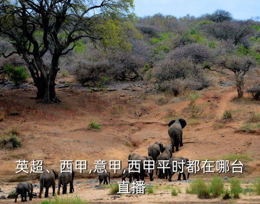 英超、西甲,意甲,西甲平時都在哪臺 直播