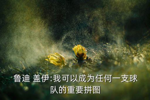  魯?shù)?蓋伊:我可以成為任何一支球隊(duì)的重要拼圖