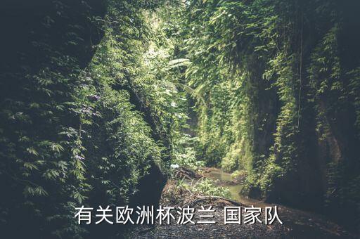 有關(guān)歐洲杯波蘭 國家隊