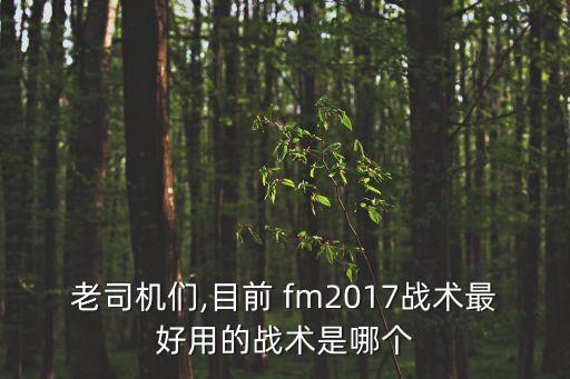 fm2017哪個版本最好,財(cái)富管理學(xué)院2021財(cái)政預(yù)算案