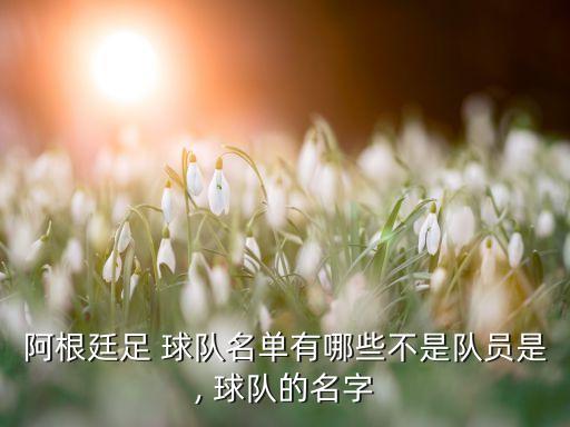 阿根廷足 球隊(duì)名單有哪些不是隊(duì)員是, 球隊(duì)的名字