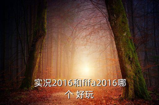  實(shí)況2016和fifa2016哪個 好玩