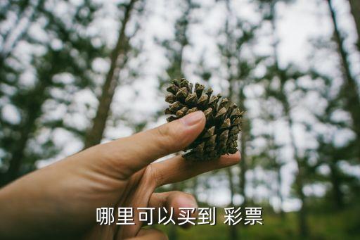 彩票在哪個(gè)網(wǎng)站能買,你好，去彩票station那里買彩票?