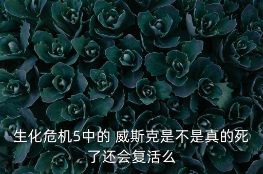 生化危機(jī)5中的 威斯克是不是真的死了還會(huì)復(fù)活么