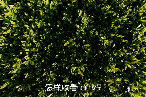 怎樣收看 cctv5