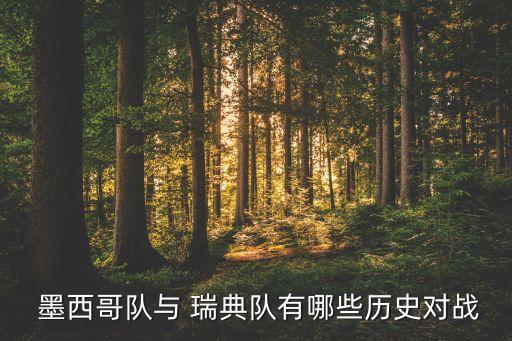  墨西哥隊(duì)與 瑞典隊(duì)有哪些歷史對(duì)戰(zhàn)