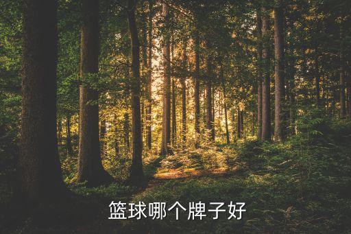  籃球哪個(gè)牌子好