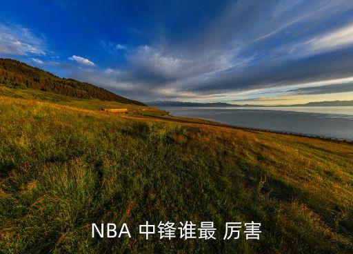 NBA 中鋒誰最 厲害