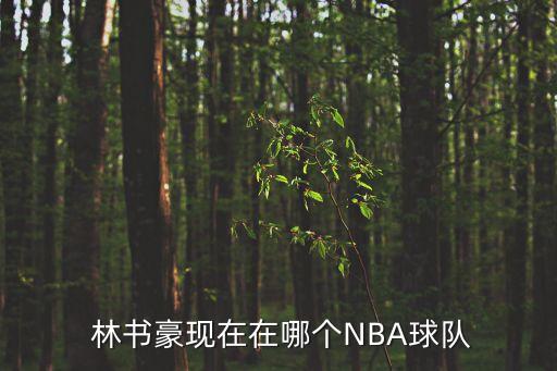 林書豪去哪個隊,林書豪nba生涯回顧