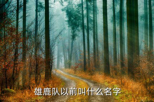  雄鹿隊(duì)以前叫什么名字