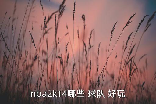 nba2k14哪些 球隊 好玩