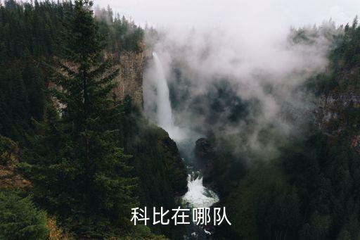  科比在哪隊(duì)