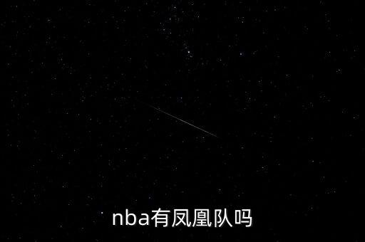 nba有鳳凰隊(duì)嗎