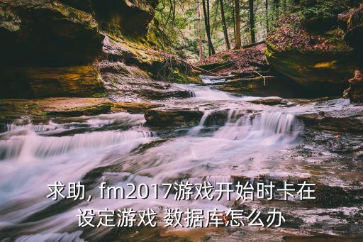 求助, fm2017游戲開始時(shí)卡在設(shè)定游戲 數(shù)據(jù)庫怎么辦