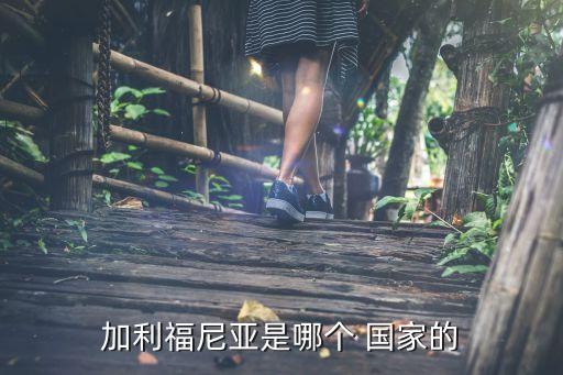 加利福尼亞是哪個 國家的