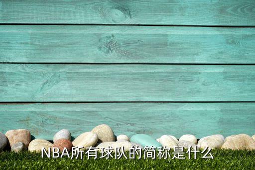 達拉斯飛翼是哪個隊,nba球隊簡介:達拉斯小牛隊