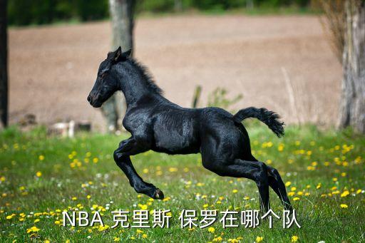 NBA 克里斯 保羅在哪個隊