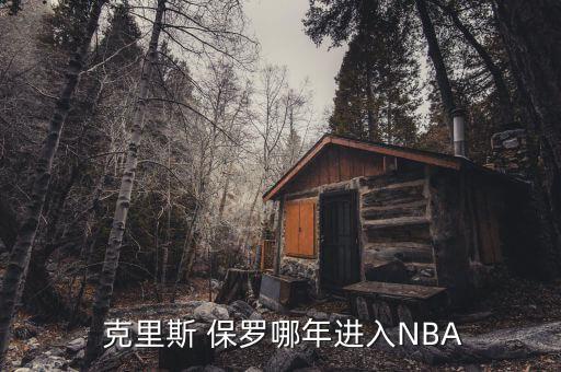  克里斯 保羅哪年進入NBA