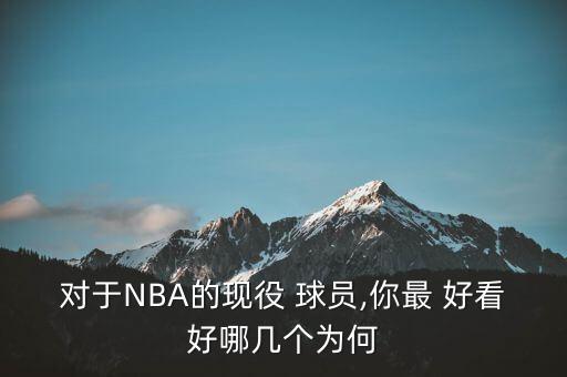 對于NBA的現(xiàn)役 球員,你最 好看好哪幾個為何