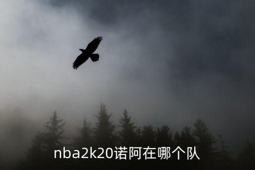 nba2k20諾阿在哪個隊