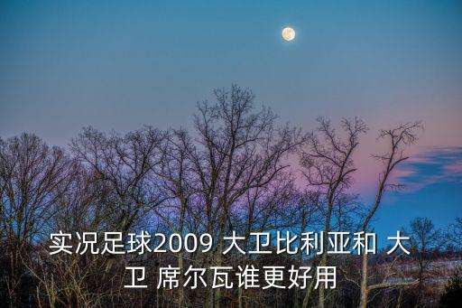 實(shí)況足球2009 大衛(wèi)比利亞和 大衛(wèi) 席爾瓦誰(shuí)更好用