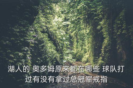 湖人的 奧多姆原來(lái)都在哪些 球隊(duì)打過(guò)有沒(méi)有拿過(guò)總冠軍戒指