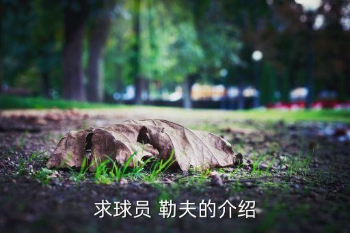 求球員 勒夫的介紹