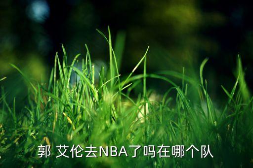 郭 艾倫去NBA了嗎在哪個隊