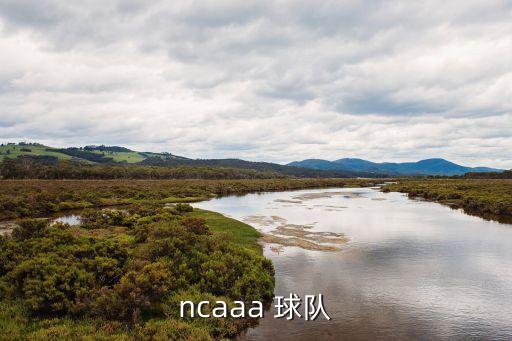 圣十字是哪個球隊,克蘇魯之盾加入ncaa需要四名學生運動隊