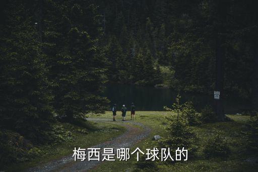  梅西是哪個球隊的