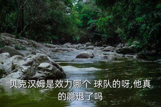 小貝是哪個(gè)球隊(duì)的,小貝退役后依然活躍在聚光燈