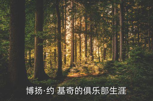 博揚(yáng)·約 基奇的俱樂部生涯